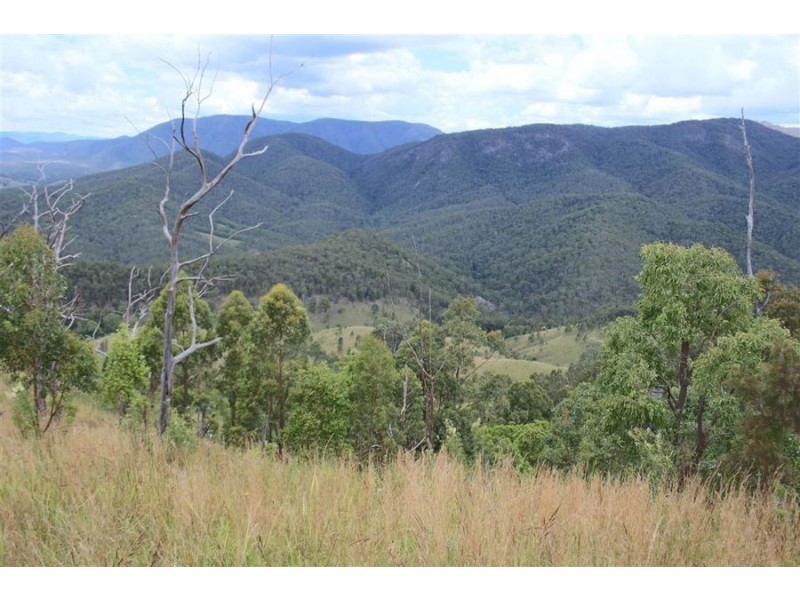 1924 Billirimba Road, Tenterfield NSW 2372
