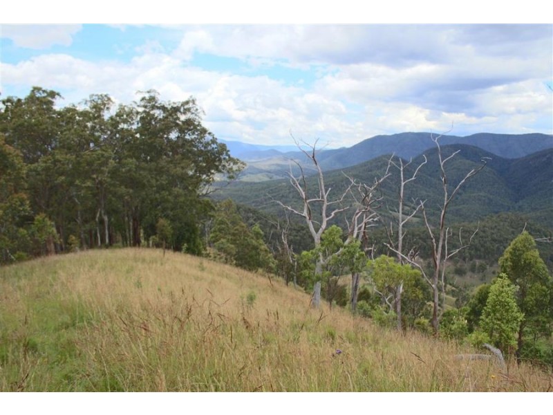 1924 Billirimba Road, Tenterfield NSW 2372