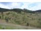 1924 Billirimba Road, Tenterfield NSW 2372