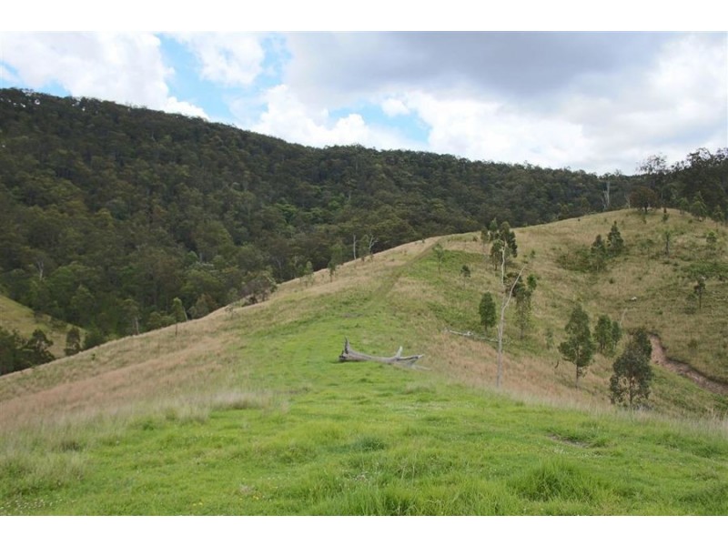 1924 Billirimba Road, Tenterfield NSW 2372