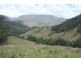 1924 Billirimba Road, Tenterfield NSW 2372