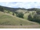 1924 Billirimba Road, Tenterfield NSW 2372