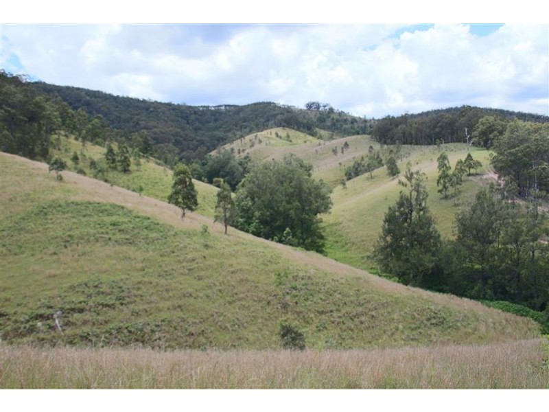 1924 Billirimba Road, Tenterfield NSW 2372