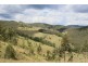 1924 Billirimba Road, Tenterfield NSW 2372