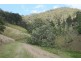 1924 Billirimba Road, Tenterfield NSW 2372