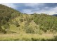 1924 Billirimba Road, Tenterfield NSW 2372
