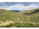 1924 Billirimba Road, Tenterfield NSW 2372