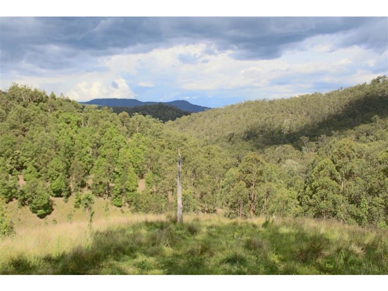 1924 Billirimba Road, Tenterfield NSW 2372