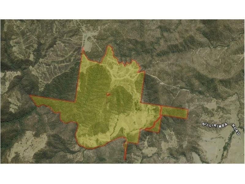1924 Billirimba Road, Tenterfield NSW 2372