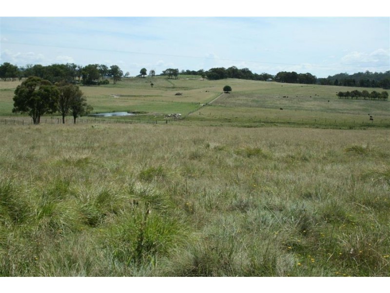 Lot 42 Black Swamp Road, Tenterfield NSW 2372