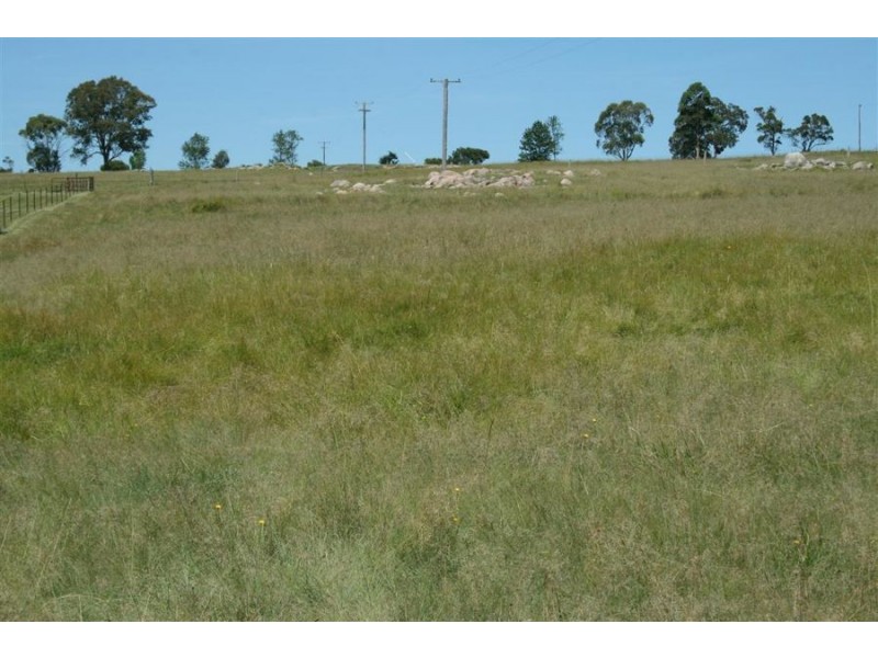 Lot 42 Black Swamp Road, Tenterfield NSW 2372