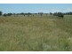 Lot 42 Black Swamp Road, Tenterfield NSW 2372