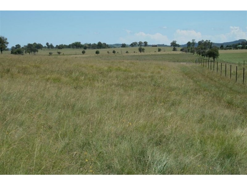Lot 42 Black Swamp Road, Tenterfield NSW 2372