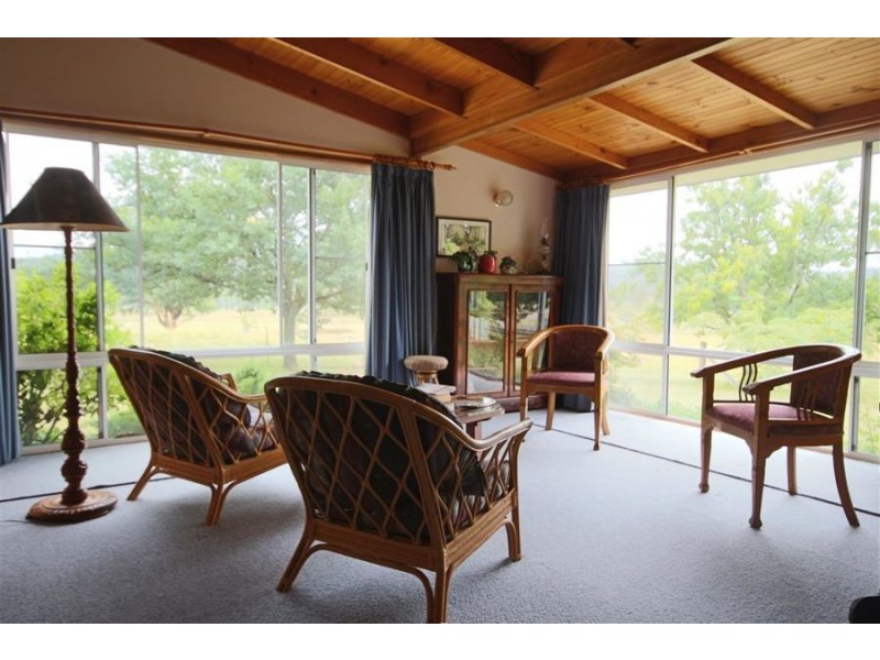 1259 Black Swamp Road, Tenterfield NSW 2372
