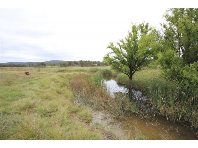 1259 Black Swamp Road, Tenterfield NSW 2372