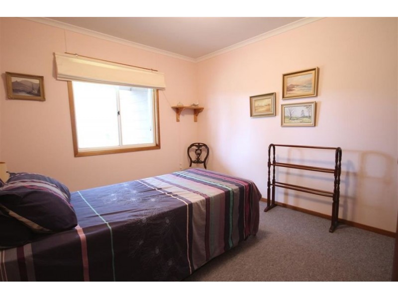 1259 Black Swamp Road, Tenterfield NSW 2372