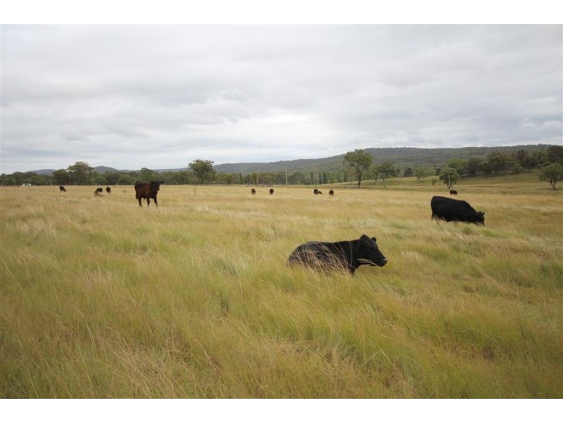 1259 Black Swamp Road, Tenterfield NSW 2372