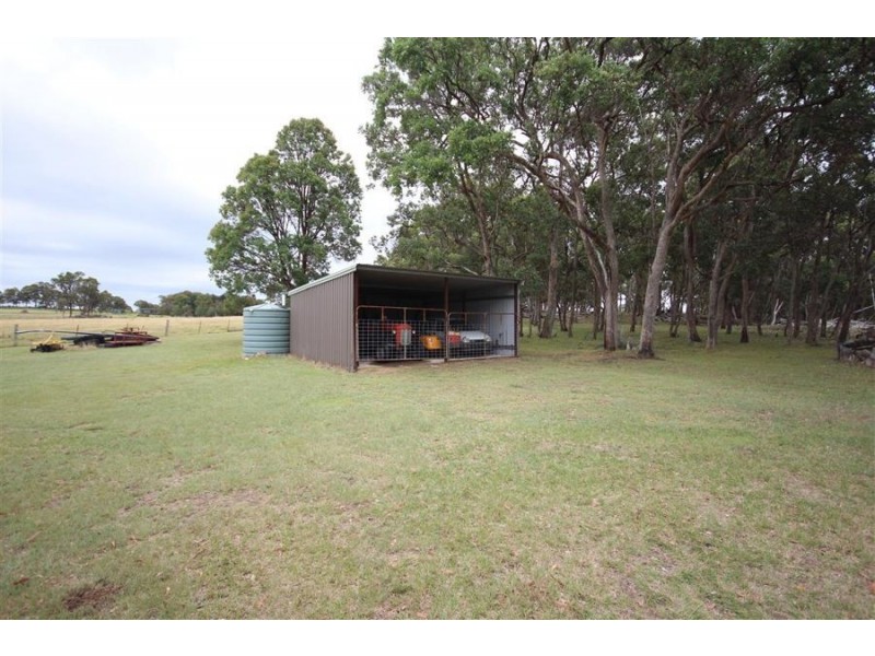 1259 Black Swamp Road, Tenterfield NSW 2372