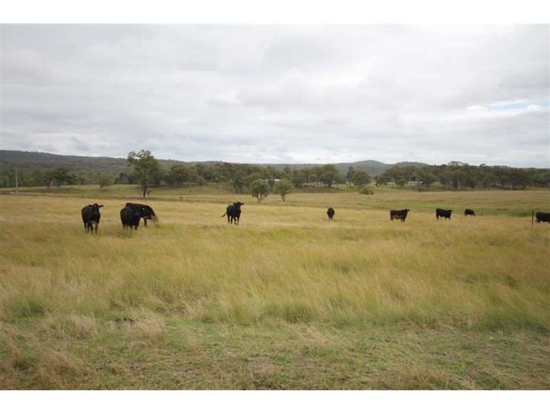 1259 Black Swamp Road, Tenterfield NSW 2372