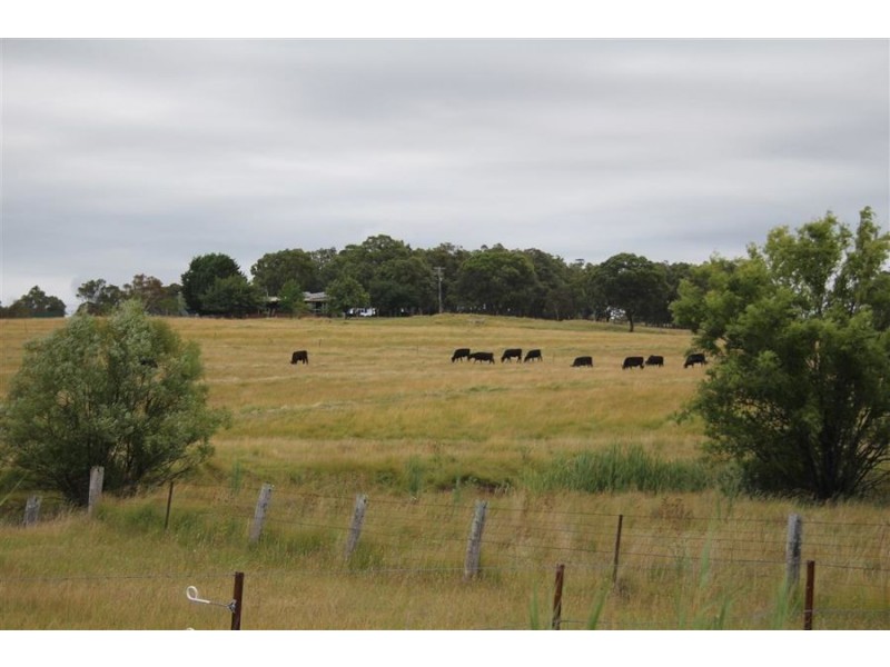 1259 Black Swamp Road, Tenterfield NSW 2372