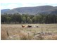 Frost Road, Tenterfield NSW 2372