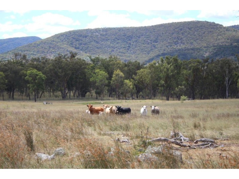 Frost Road, Tenterfield NSW 2372