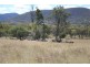 Frost Road, Tenterfield NSW 2372