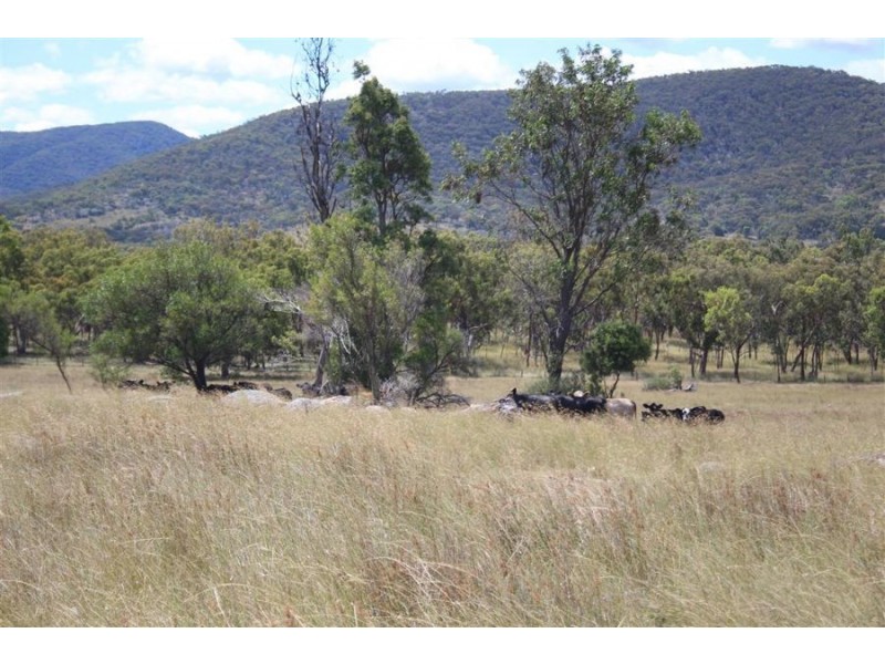 Frost Road, Tenterfield NSW 2372