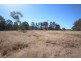 Lot 541 Geyers Road, Tenterfield NSW 2372