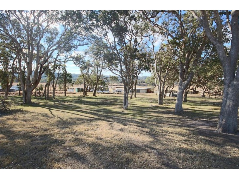 1277 Black Swamp Road, Tenterfield NSW 2372