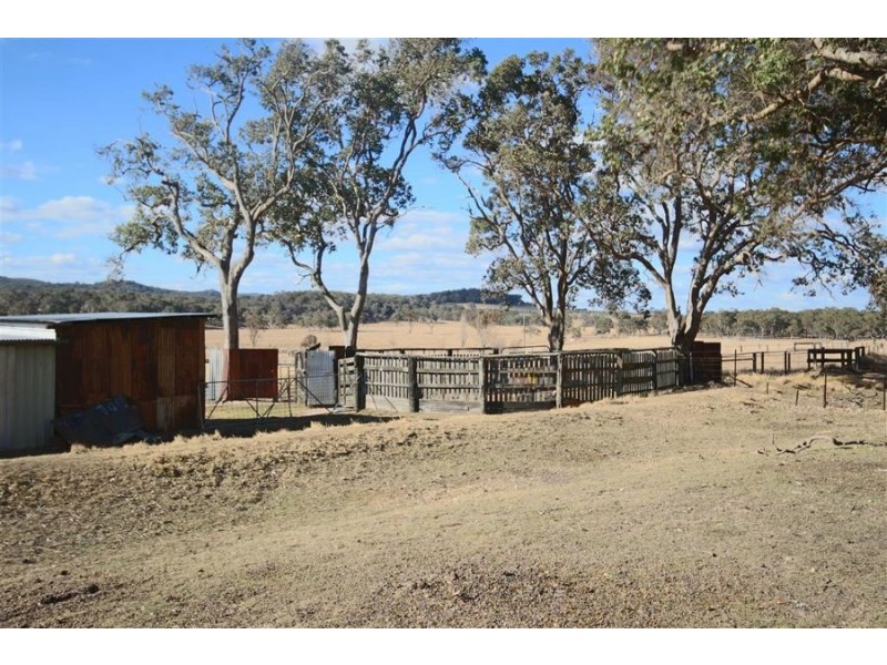 1277 Black Swamp Road, Tenterfield NSW 2372