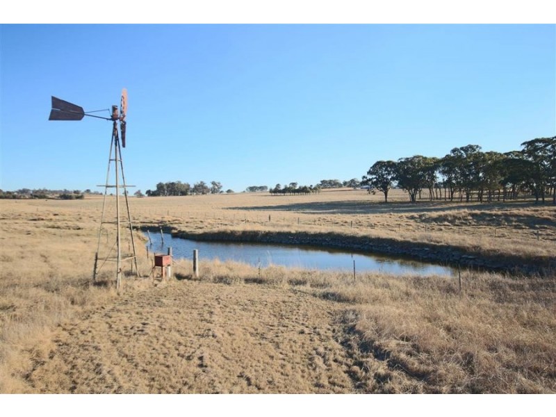 1217 Black Swamp Road, Tenterfield NSW 2372