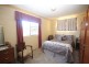 1217 Black Swamp Road, Tenterfield NSW 2372