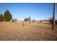 1217 Black Swamp Road, Tenterfield NSW 2372