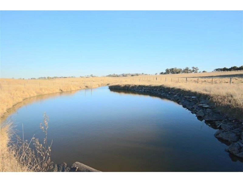 1217 Black Swamp Road, Tenterfield NSW 2372