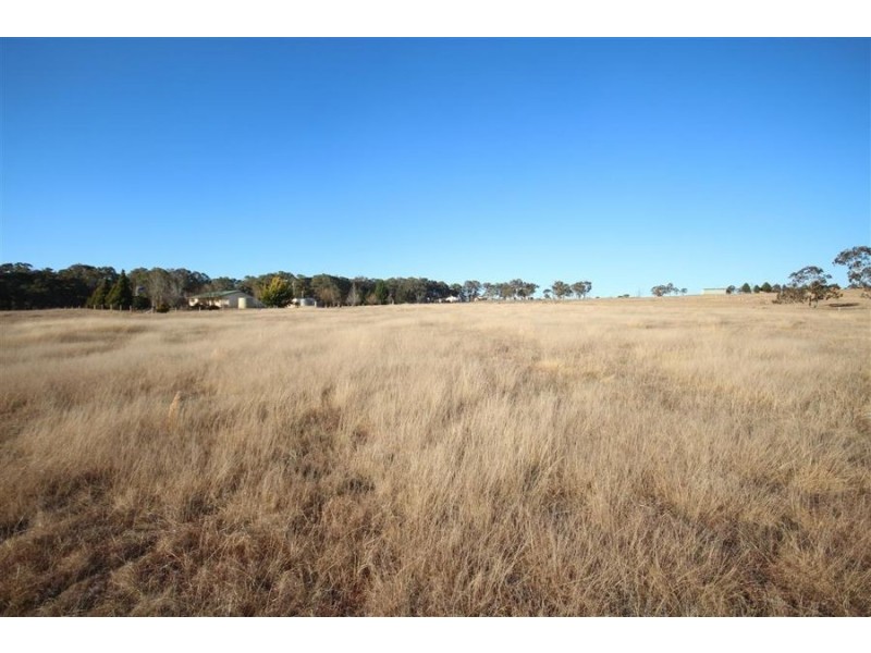 1217 Black Swamp Road, Tenterfield NSW 2372