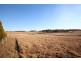 1217 Black Swamp Road, Tenterfield NSW 2372