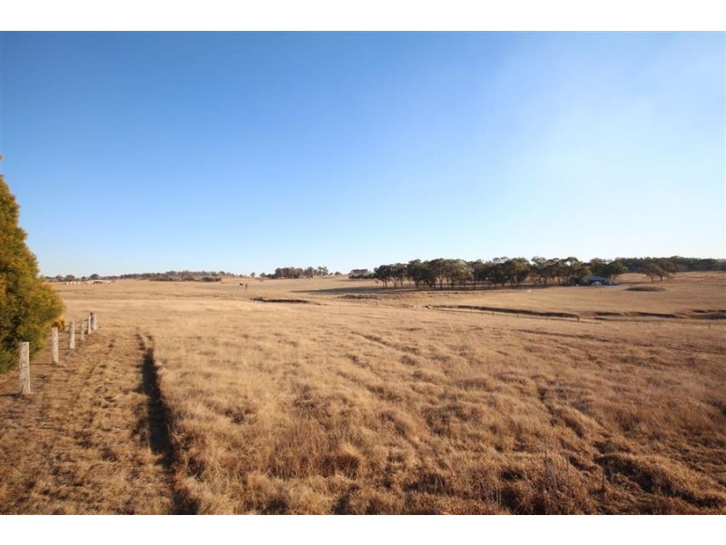 1217 Black Swamp Road, Tenterfield NSW 2372