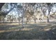 1217 Black Swamp Road, Tenterfield NSW 2372