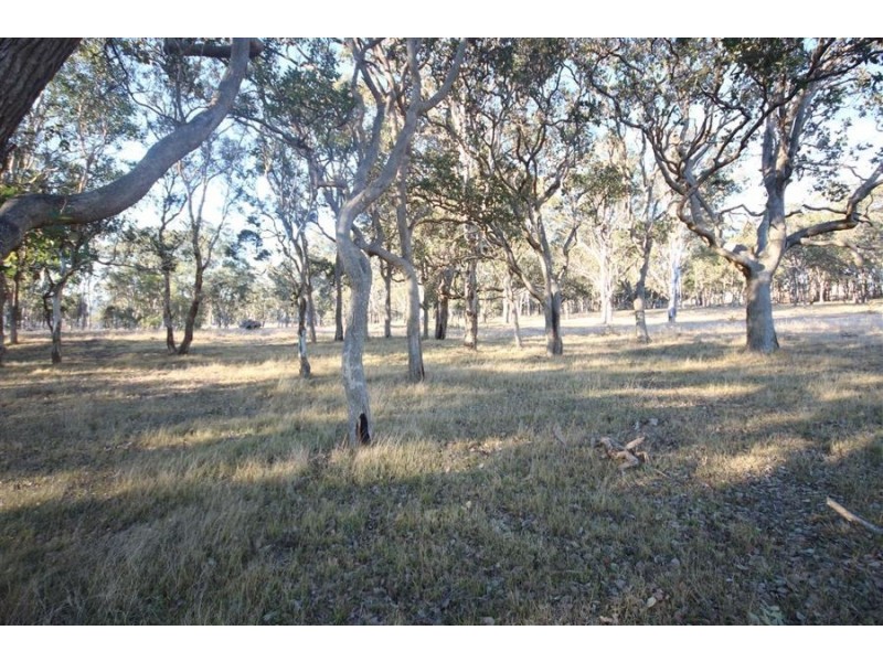 1217 Black Swamp Road, Tenterfield NSW 2372