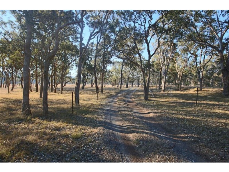 1217 Black Swamp Road, Tenterfield NSW 2372