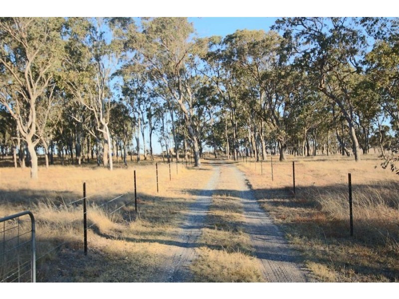 1217 Black Swamp Road, Tenterfield NSW 2372