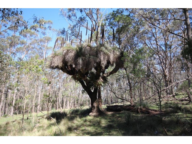 Lot 1 Daisy Mount Road, Tenterfield NSW 2372