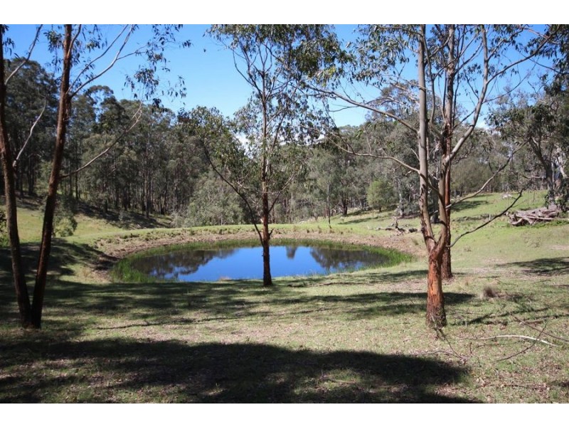 Lot 1 Daisy Mount Road, Tenterfield NSW 2372