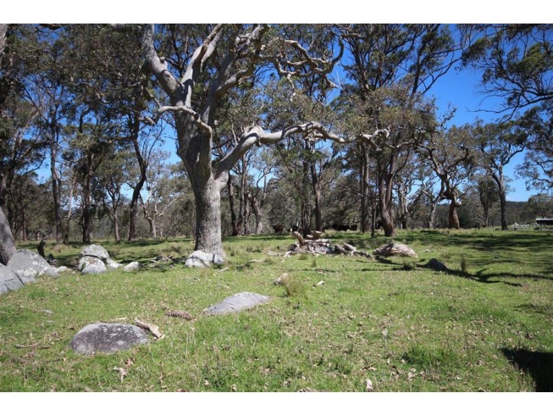Lot 1 Daisy Mount Road, Tenterfield NSW 2372