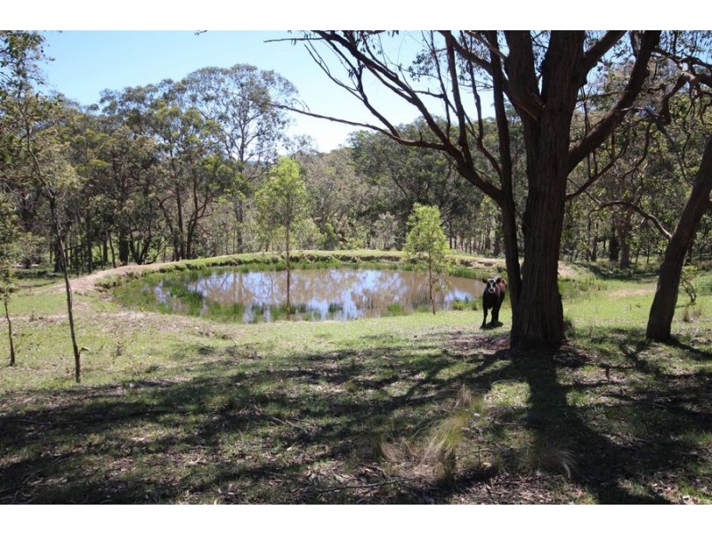 Lot 1 Daisy Mount Road, Tenterfield NSW 2372