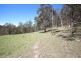 Lot 1 Daisy Mount Road, Tenterfield NSW 2372