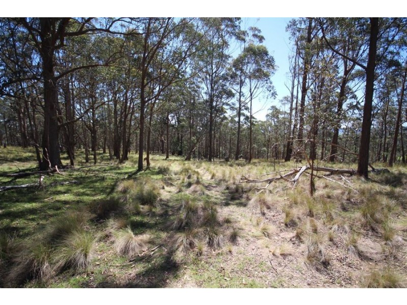 Lot 1 Daisy Mount Road, Tenterfield NSW 2372