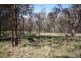 Lot 1 Daisy Mount Road, Tenterfield NSW 2372