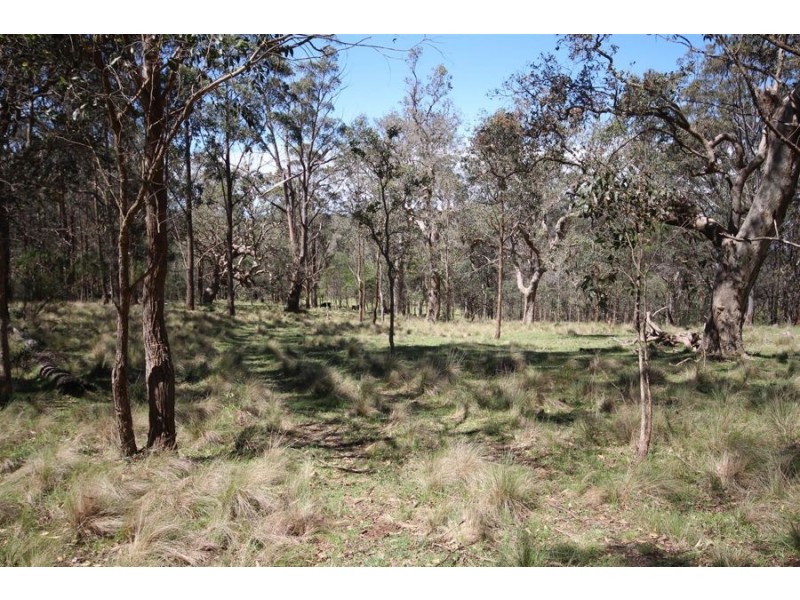 Lot 1 Daisy Mount Road, Tenterfield NSW 2372